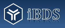 iBDS Stratégie Internet